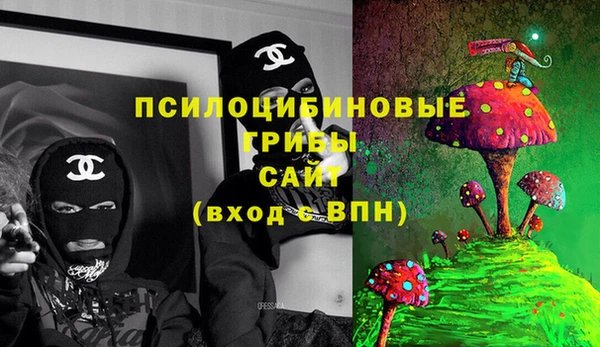 экстази Белокуриха