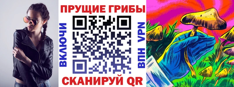 Псилоцибиновые грибы Cubensis Реутов